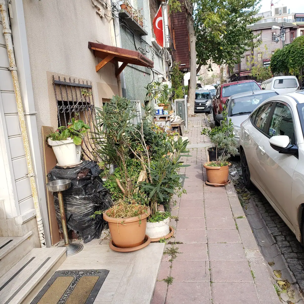 Siesta Hotel