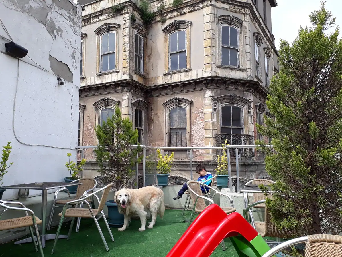 galata life